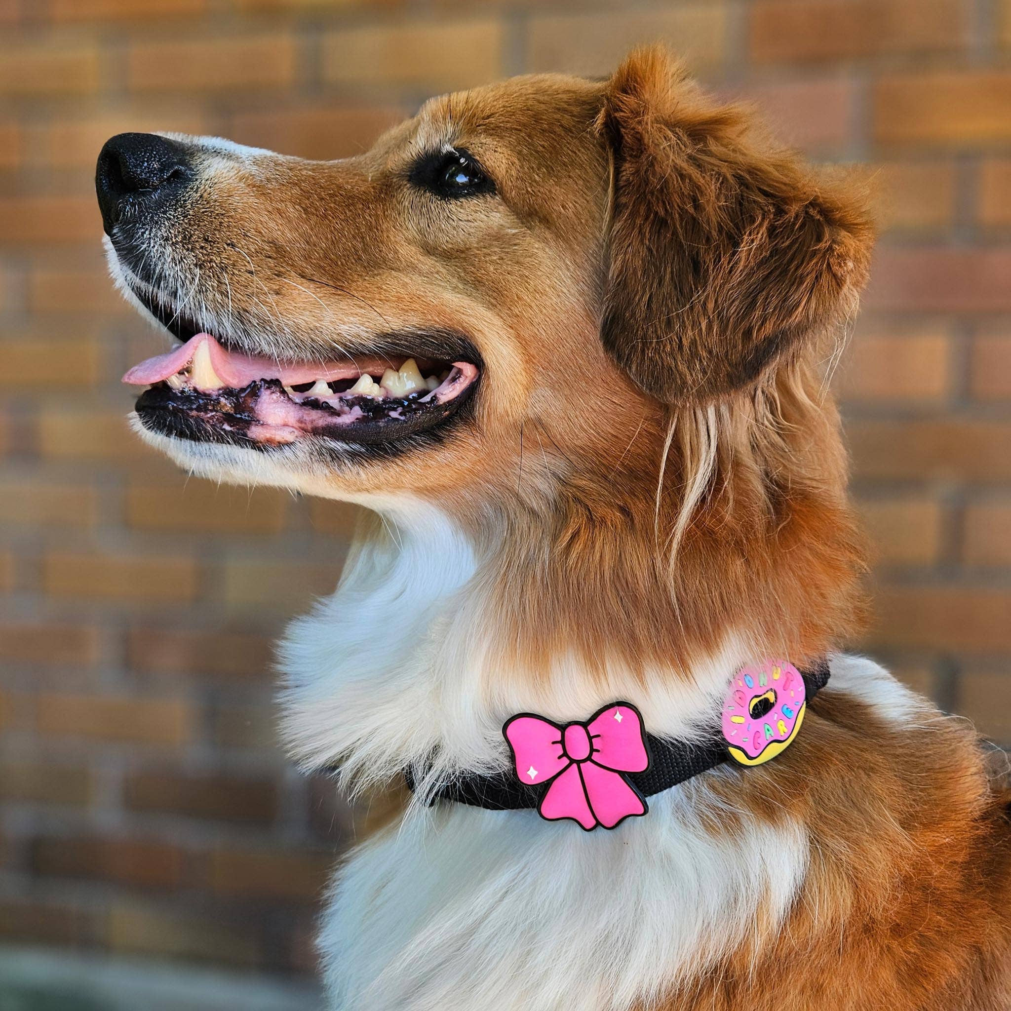 Ribbon (Pink)