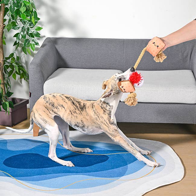 S'mores Tug Rope
