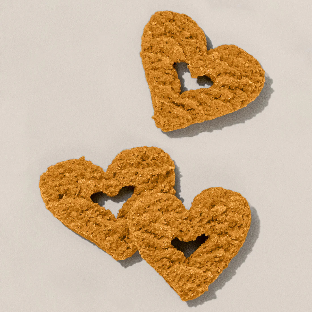 PB + Pumpkin Whole Food Dog Treat for Digestion