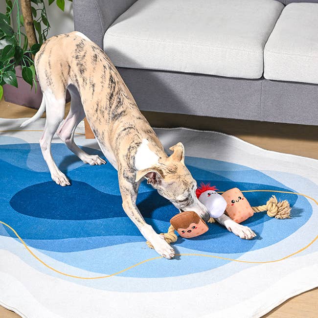 S'mores Tug Rope