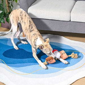 S'mores Tug Rope