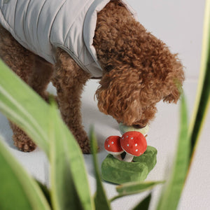 Forest Mushroom Nosework Toy