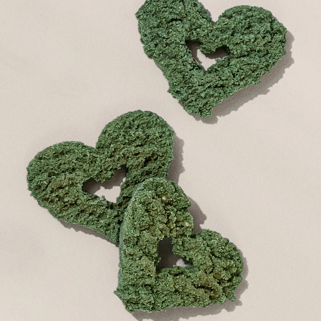 Spirulina + Coconut Whole Food Dog Treat for Immunity