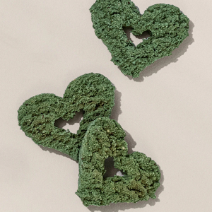 Spirulina + Coconut Whole Food Dog Treat for Immunity