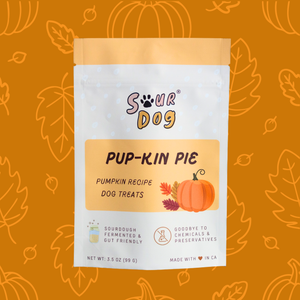 Pumpkin Sourdough Dog Treats
