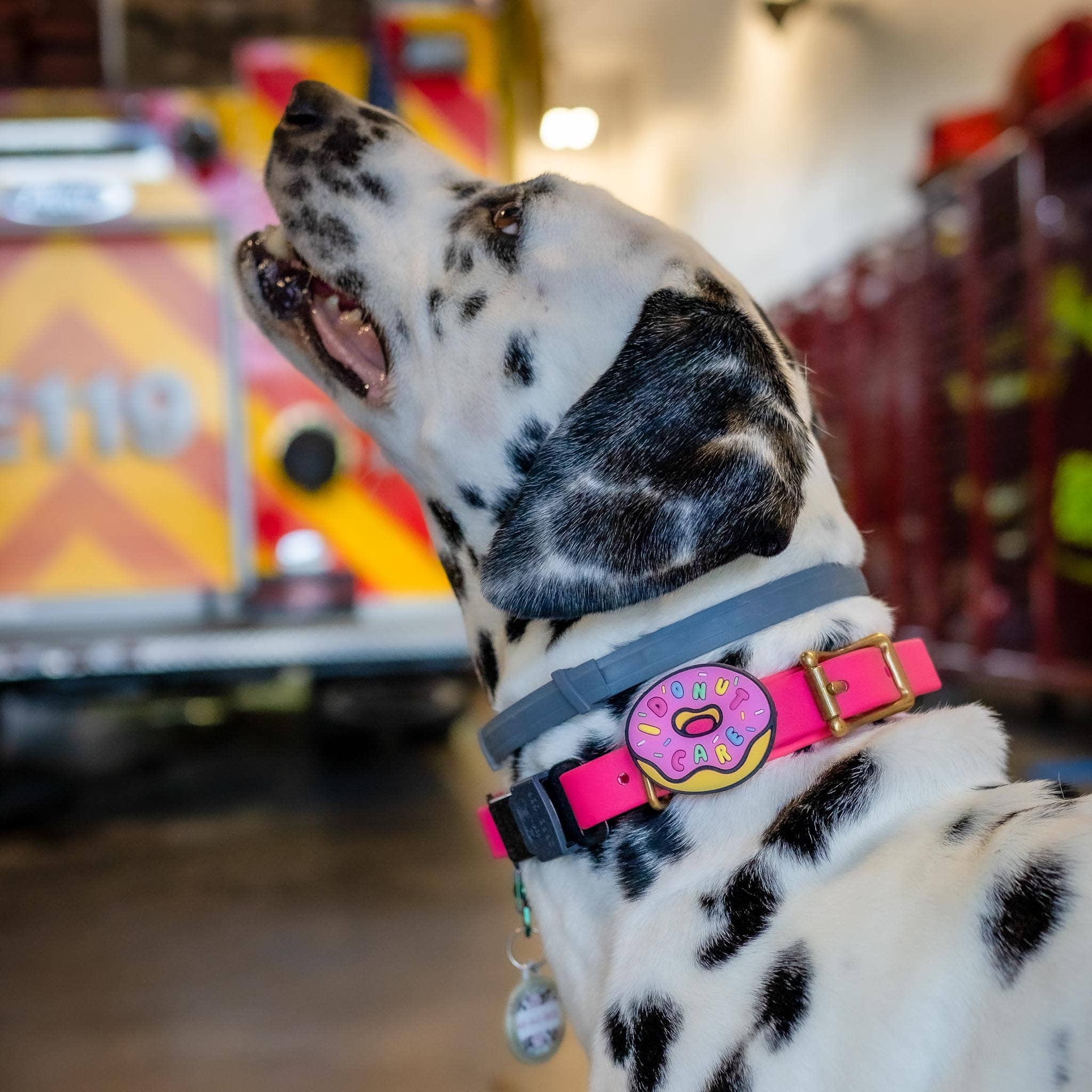 I Donut Care Dog