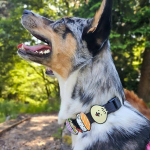 Sushi Dog