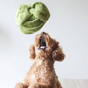 Snuffle Cabbage Nosework Toy