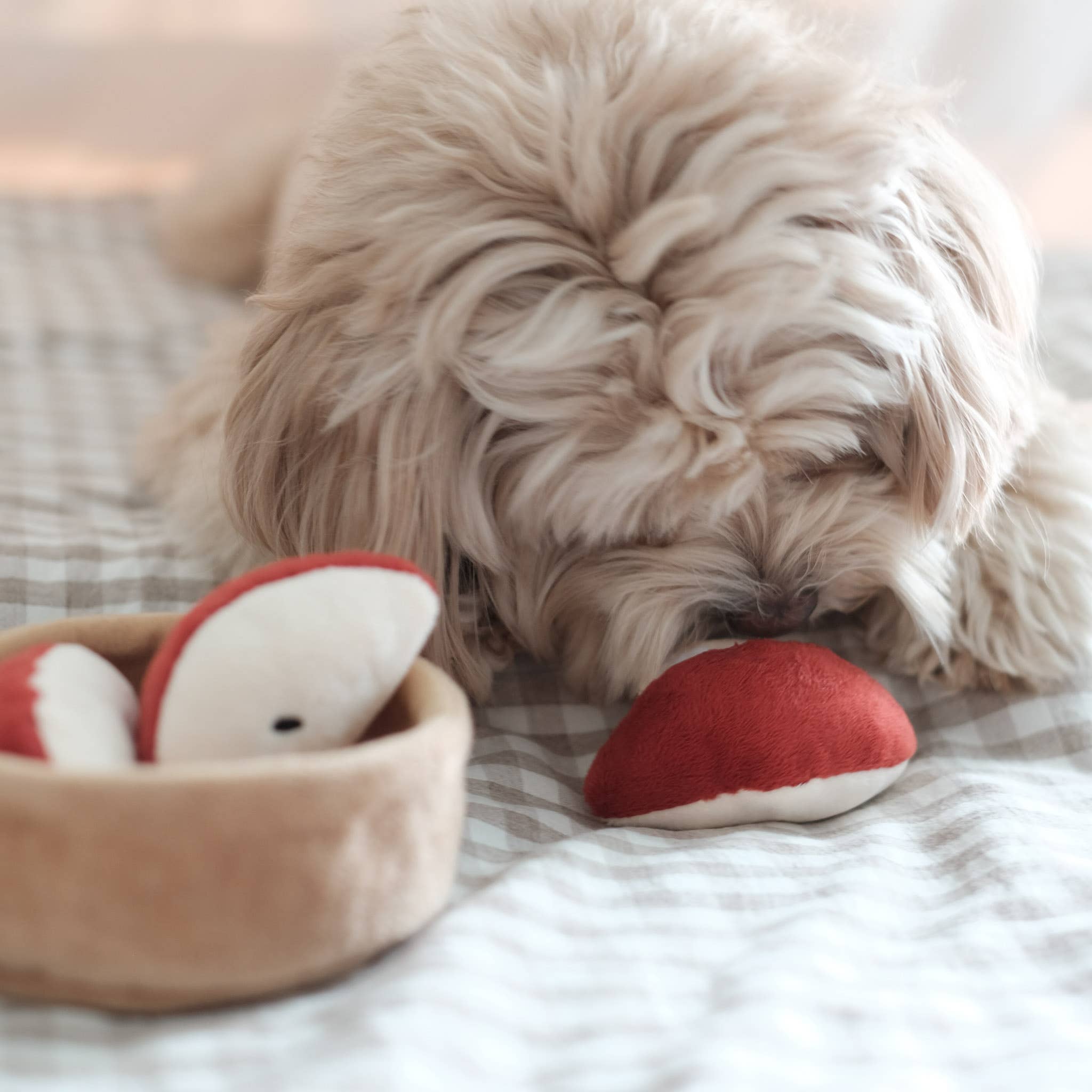 Apple Pie Nosework Toy