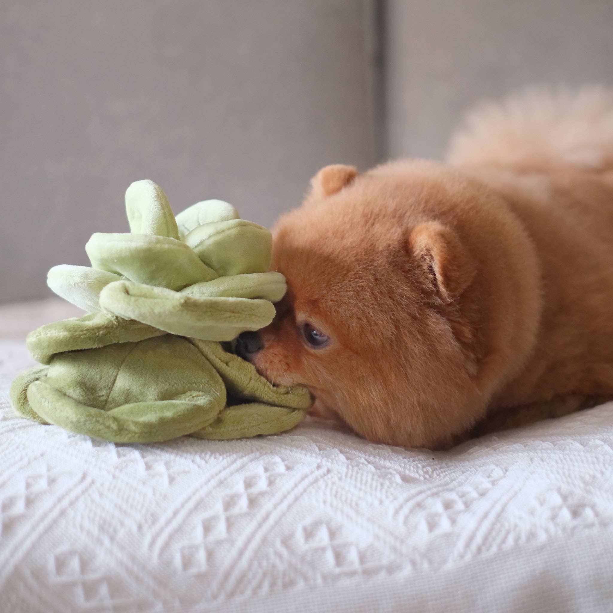 Snuffle Cabbage Nosework Toy