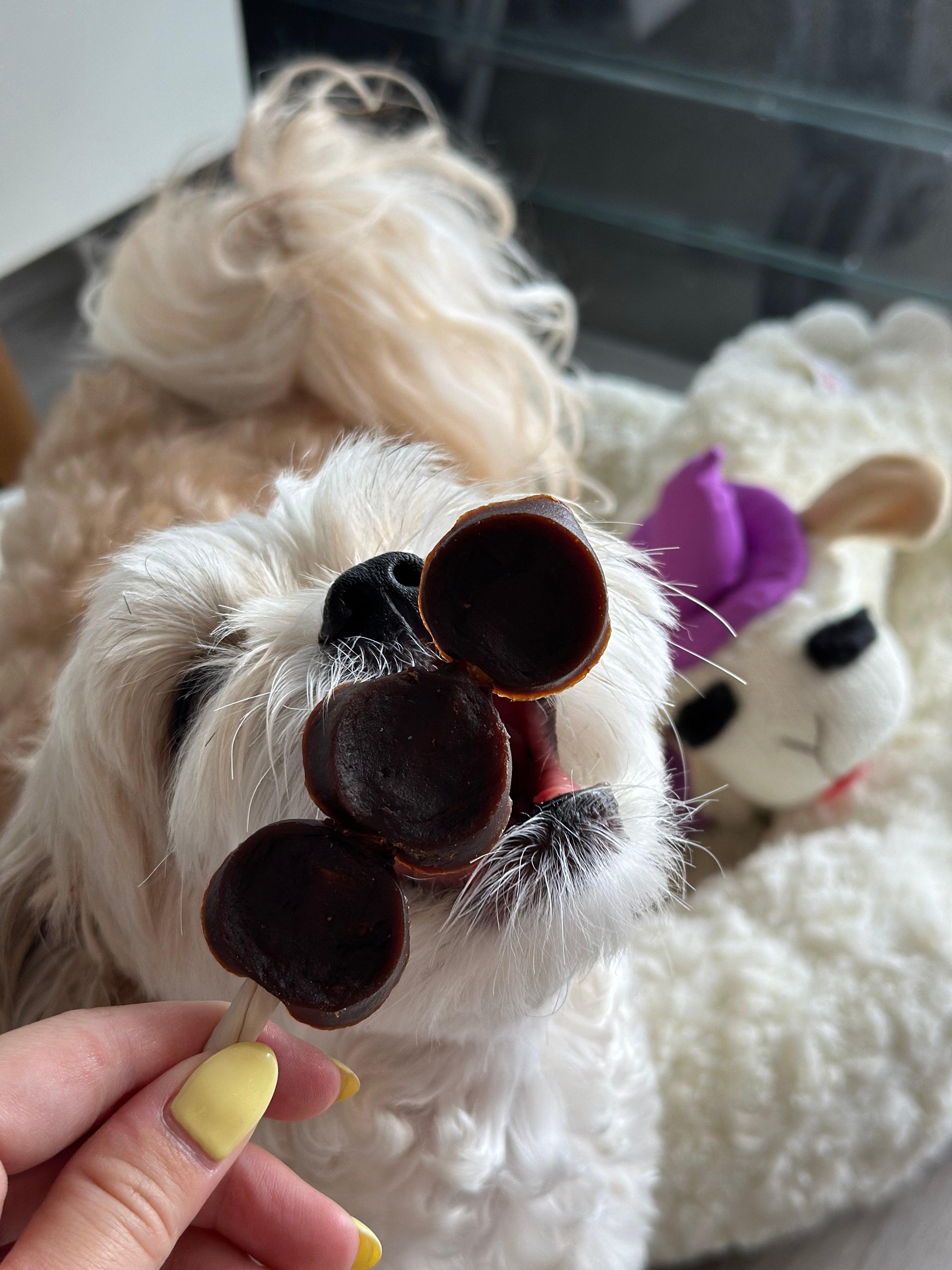 Dental Chew Beef Lollipops