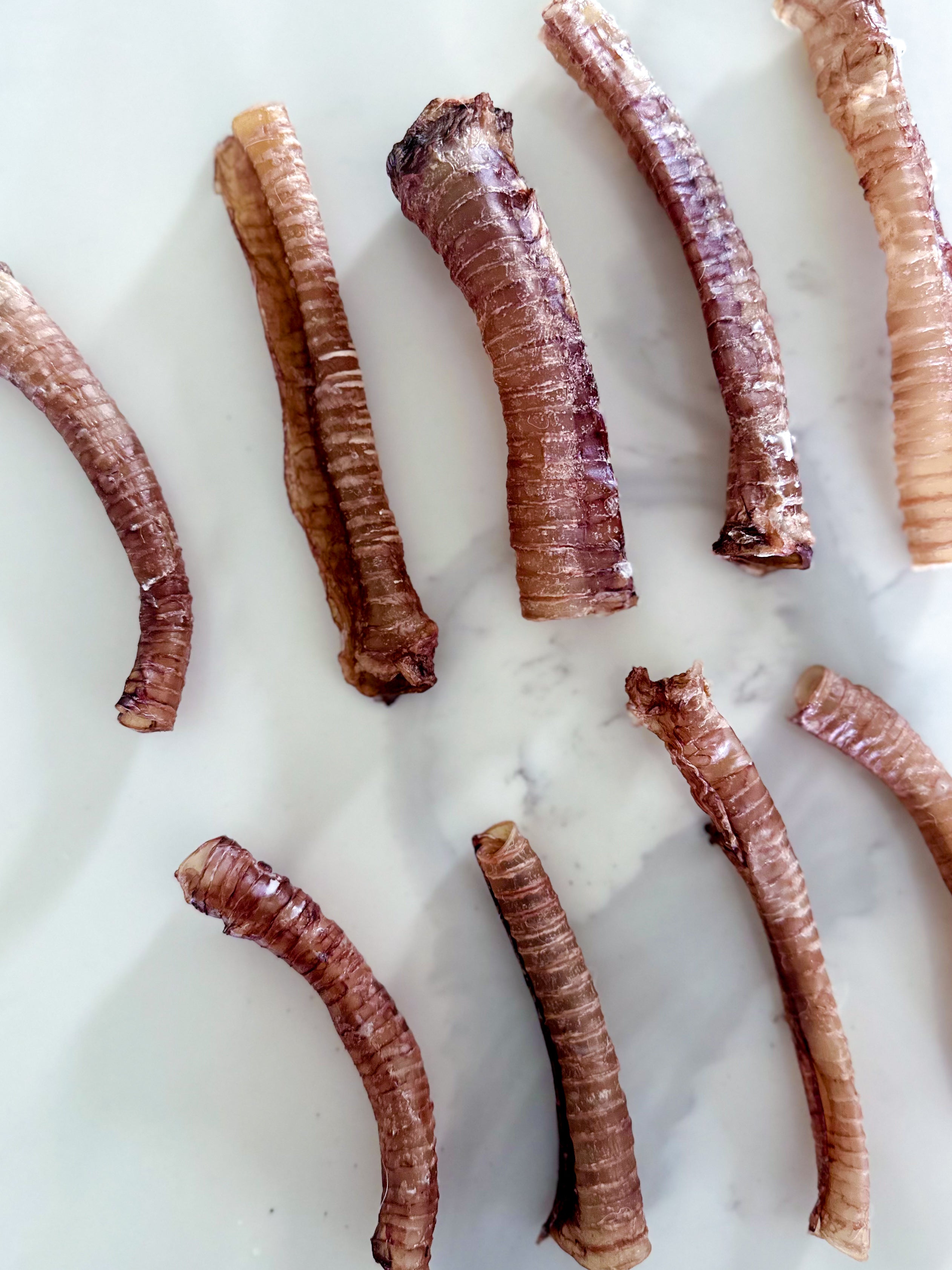 Venison Trachea