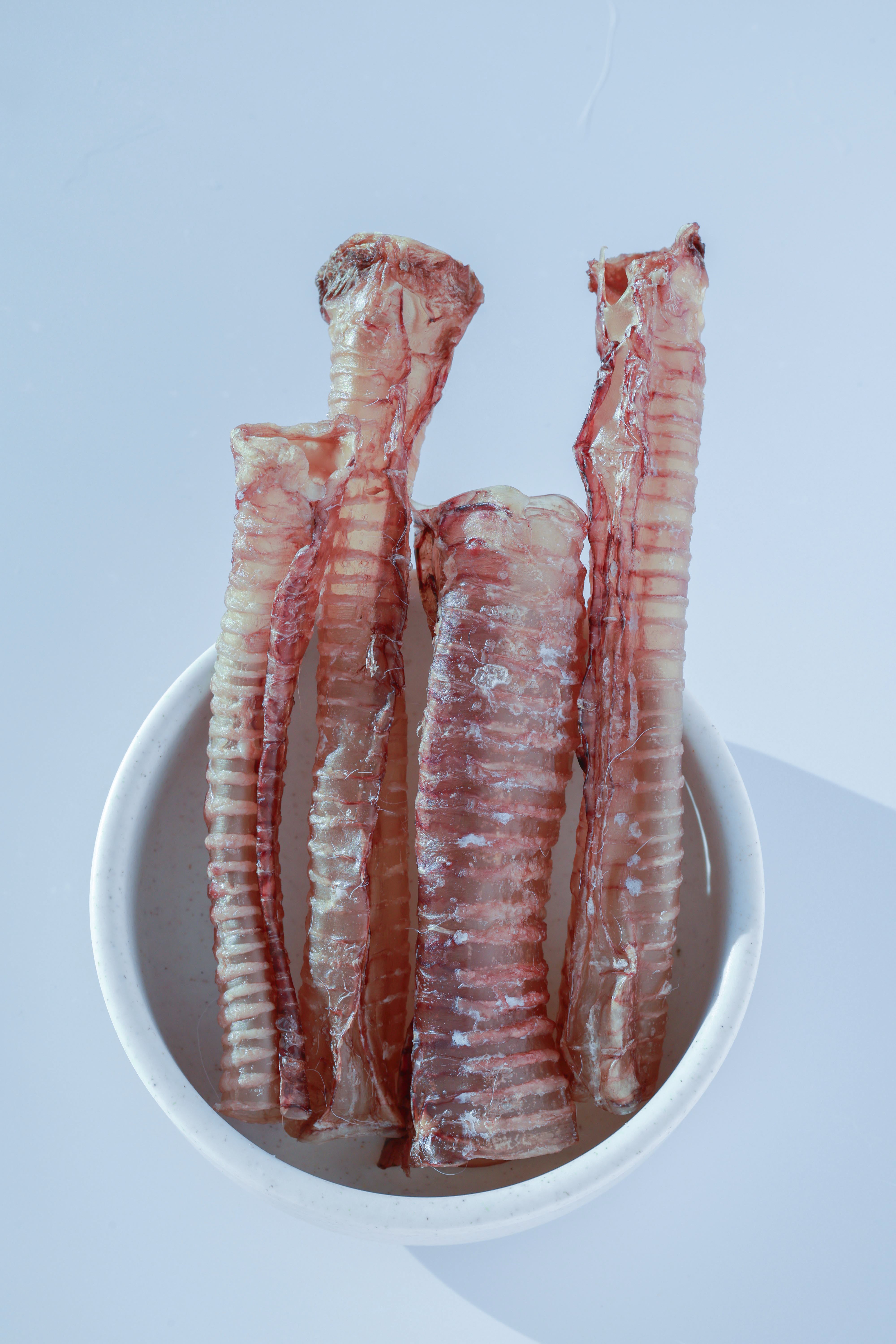 Venison Trachea