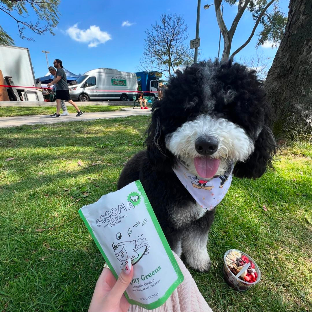 Spirulina + Coconut Whole Food Dog Treat for Immunity