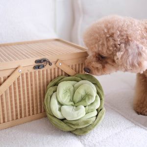 Snuffle Cabbage Nosework Toy