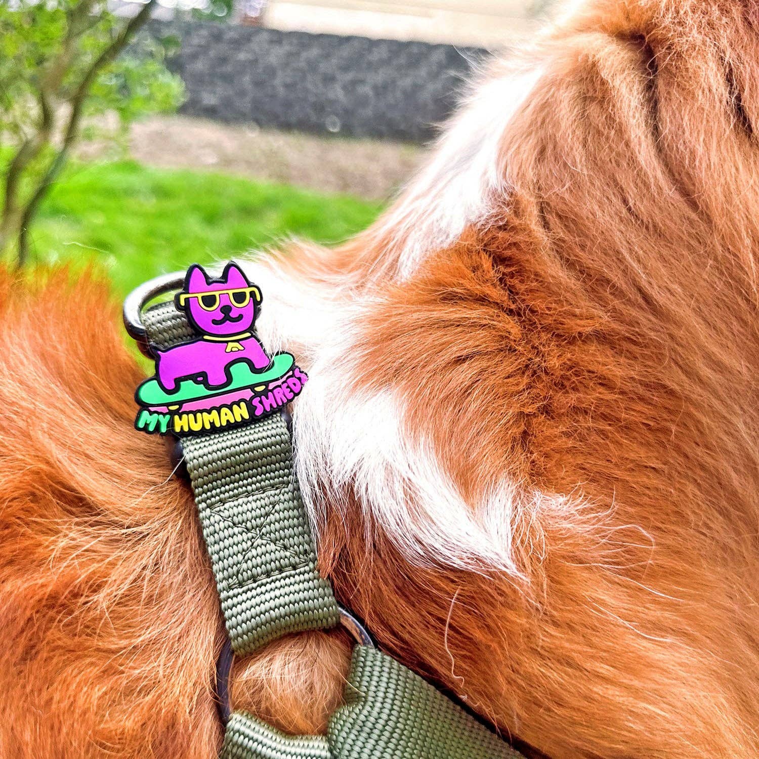 Skate Pup Dog