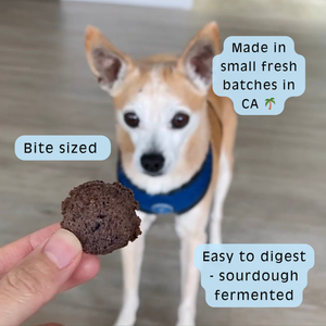 Blueberry Sourdough Dog Treats