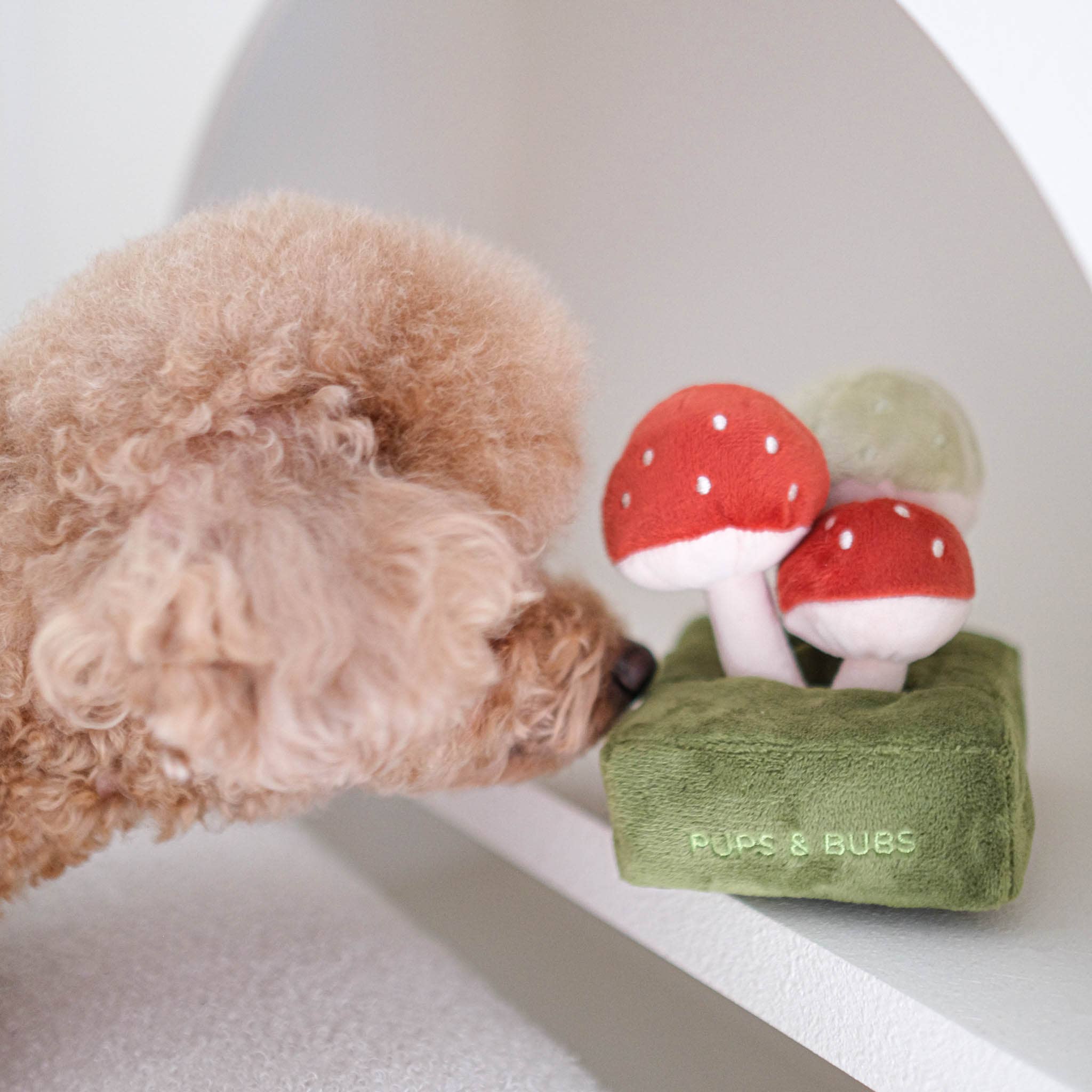 Forest Mushroom Nosework Toy