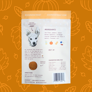 Pumpkin Sourdough Dog Treats