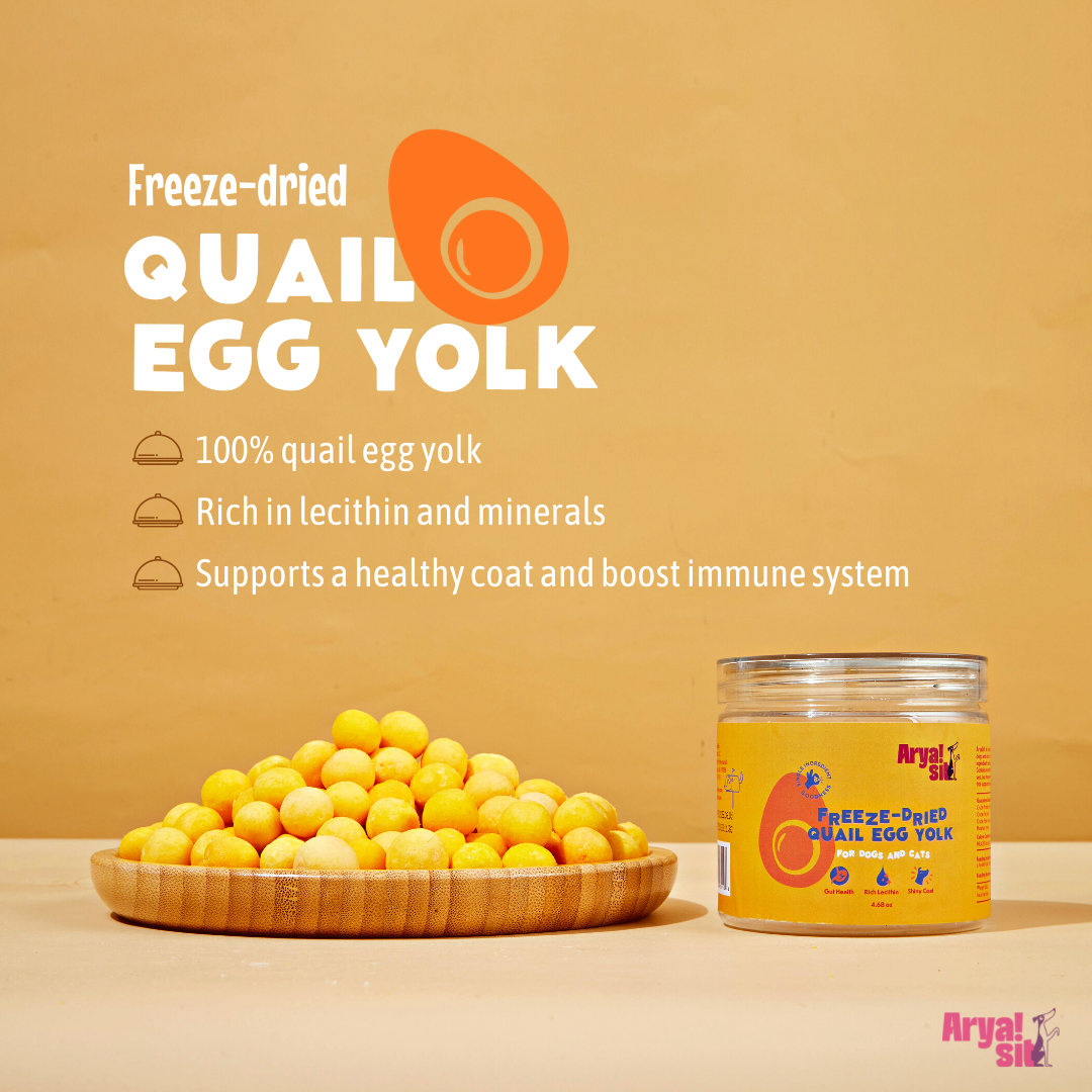 Freeze-Dried Egg Yolk: Small