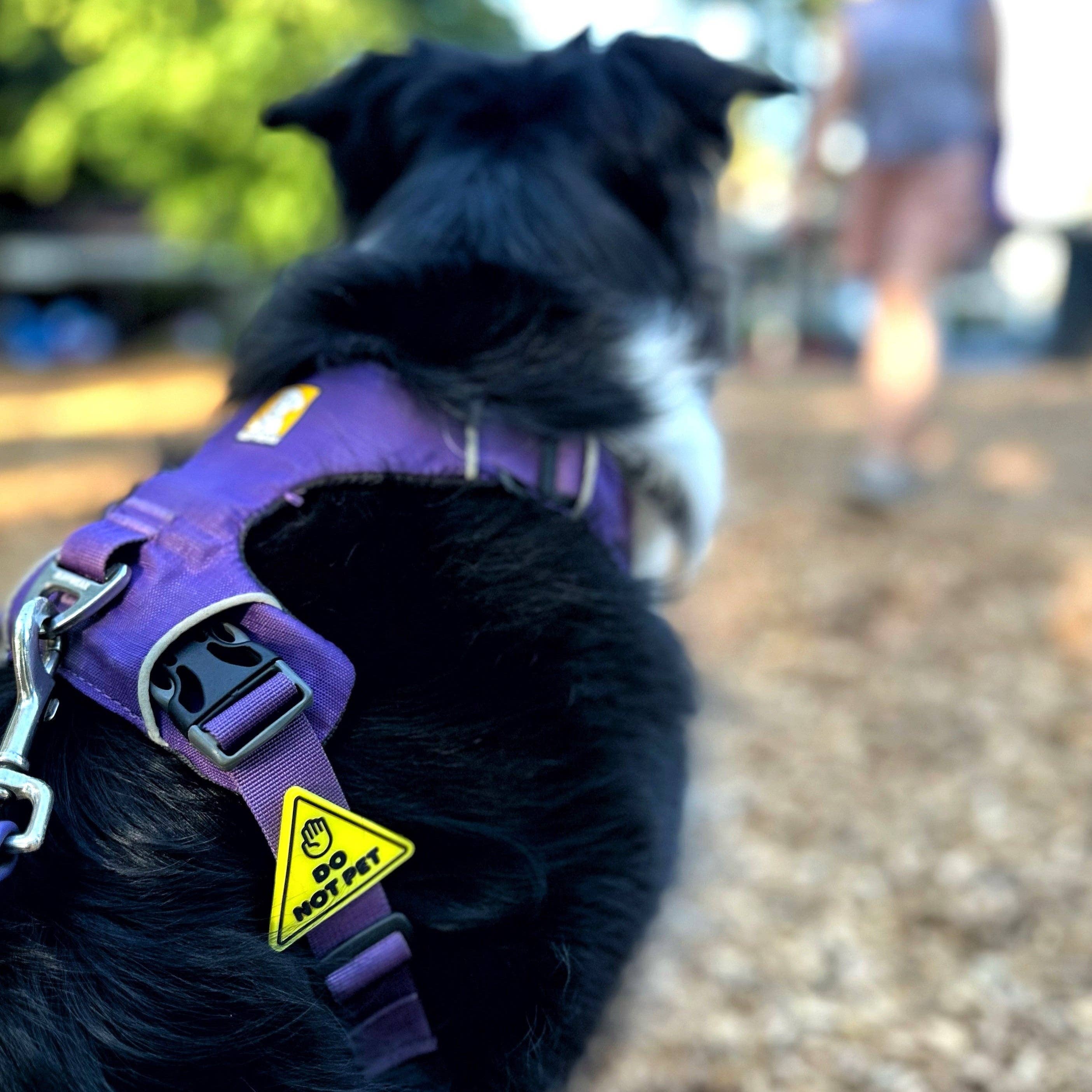 Do Not Pet Dog