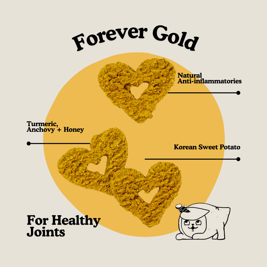 Turmeric + Anchovy Whole Food Dog Treat for Mobility